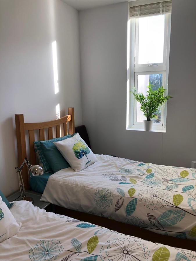 Rathescar Grove Guest House 德罗赫达 外观 照片